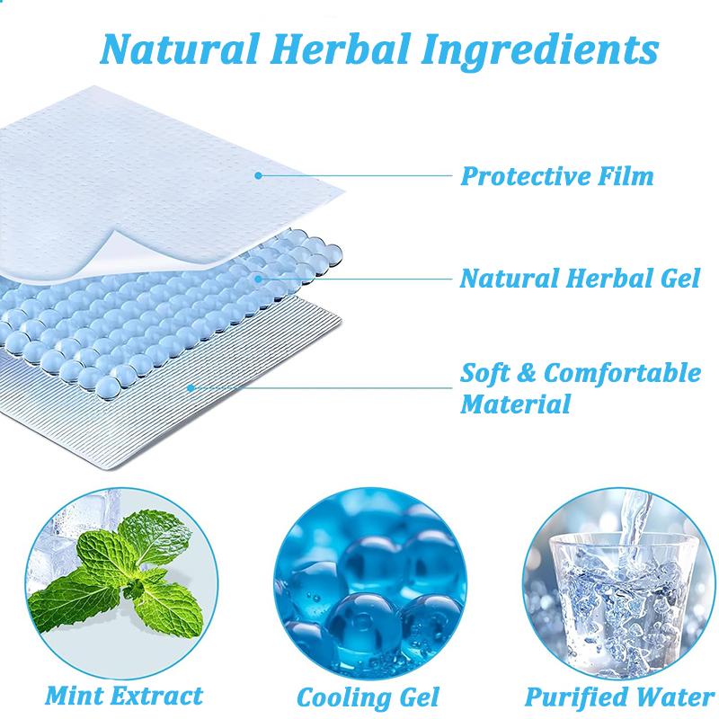 4/10/20/40/100-piece ice pack  - Skincare Skin 1004 review and price