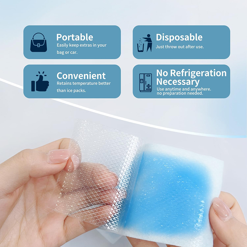 4/10/20/40/100-piece ice pack  - Skincare Skin 1004 review and price